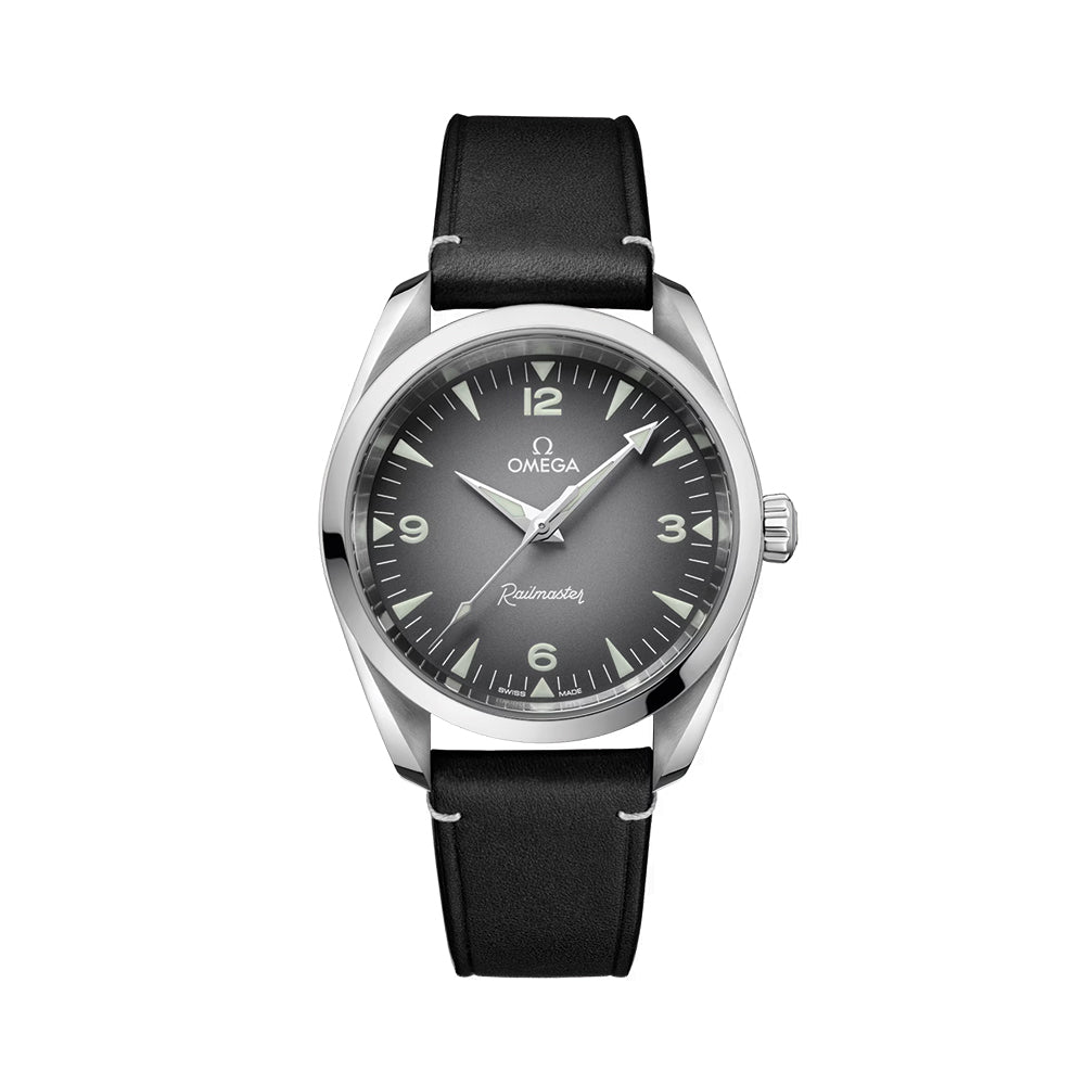 Seamaster Railmaster 38mm - Grey on Leather Strap