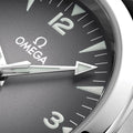 Seamaster Railmaster 38mm - Grey on Leather Strap