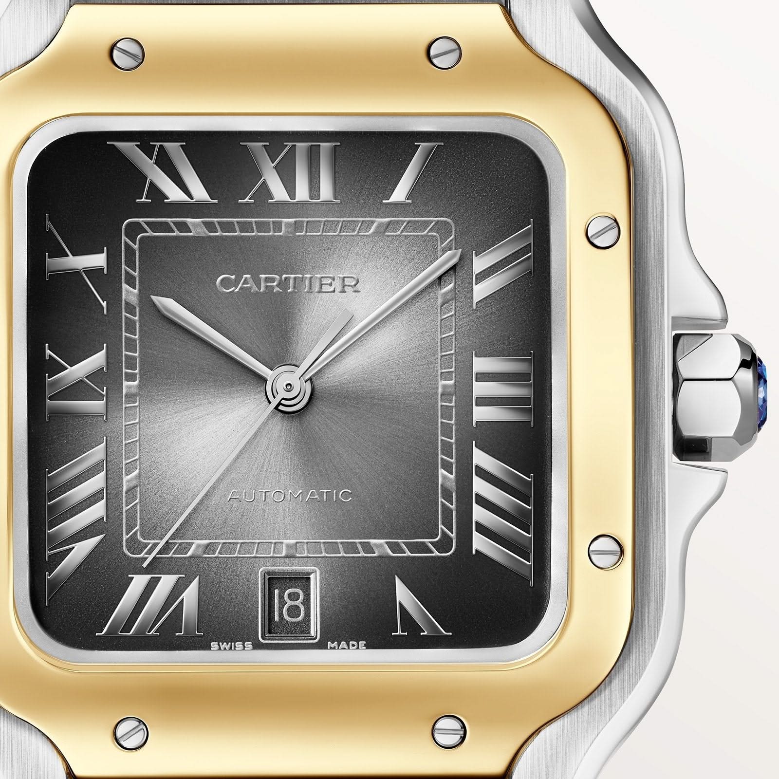 CARTIER Santos de Cartier 39.8mm Watch